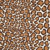 Coup de Griffe 2680505 marron