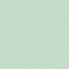 Parotega 5132-31 menthe