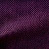 Bellini prune 1166623A