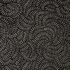 Natal anthracite