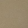Pandoria mastic 5131-73