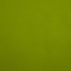 Parotega citron vert 5132-30