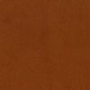 Studio terre de sienne 2187720