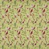 Trebah canary 3737-552