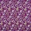 Trebah passion fruit 3737-982