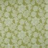 Alice lichen 3778-613