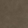 Colorado marron 2279725