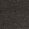 Colorado anthracite 2279730