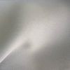 Gris argent
