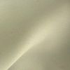 Gris beige